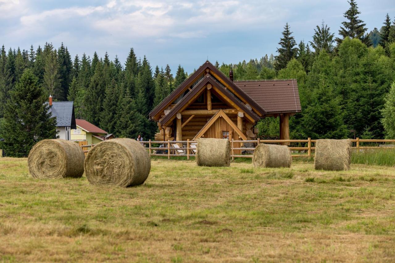 Kraljica Sume - Divjake Log Home Hlevci Eksteriør bilde