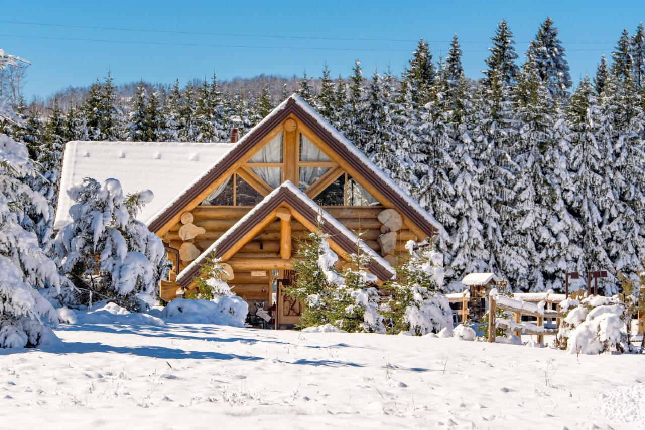 Kraljica Sume - Divjake Log Home Hlevci Eksteriør bilde