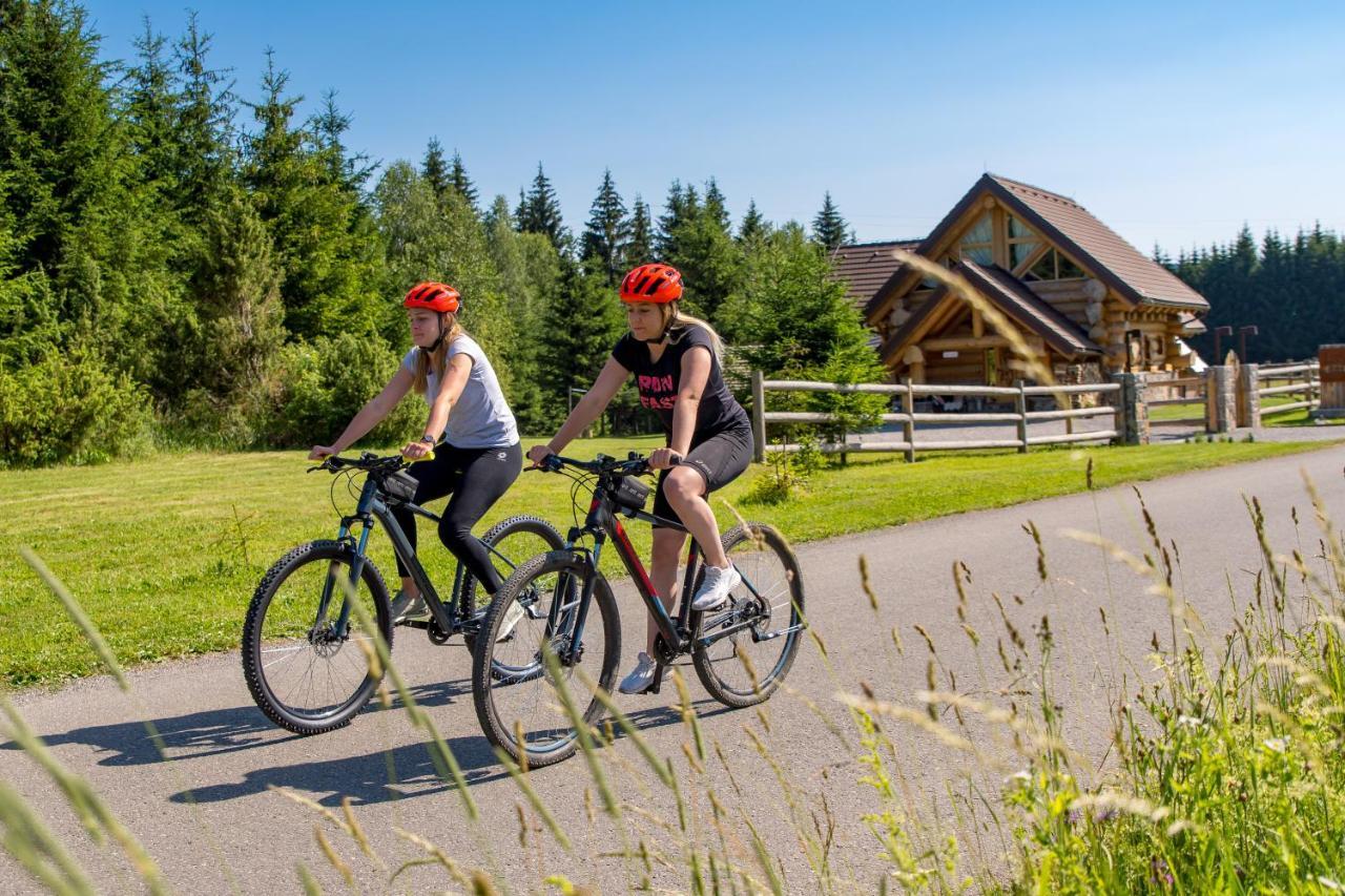 Kraljica Sume - Divjake Log Home Hlevci Eksteriør bilde